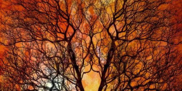 The Presence of God Sets Us Apart