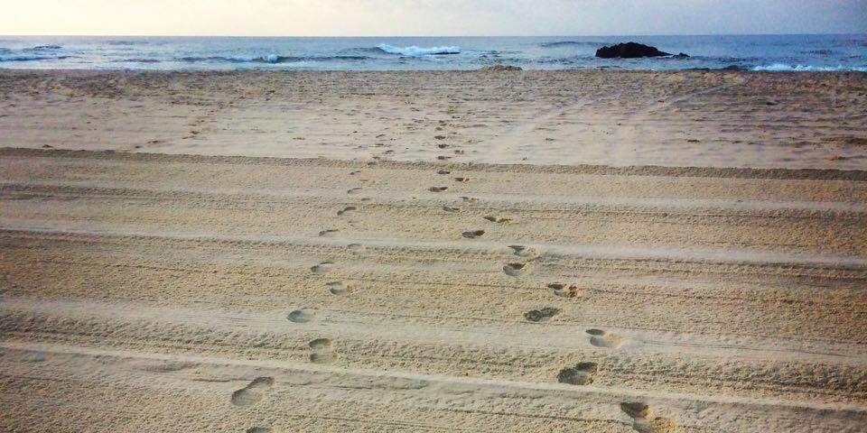 You are currently viewing I Want Beautiful Feet