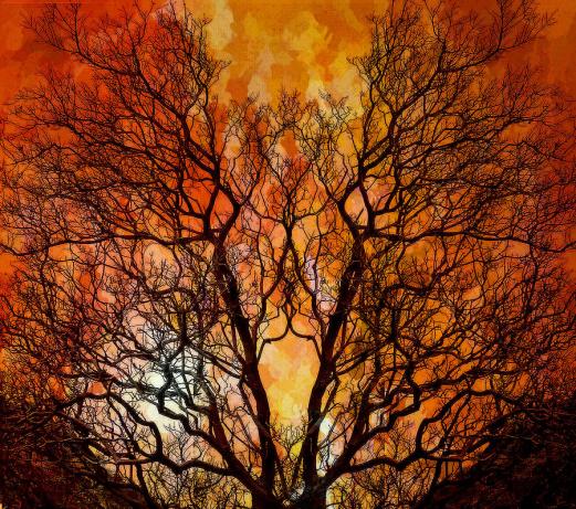 You are currently viewing The Presence of God Sets Us Apart