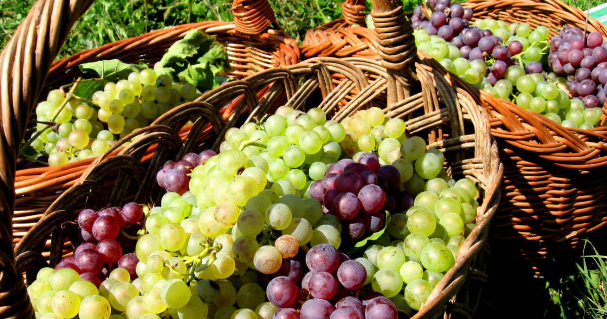 You are currently viewing Why settle for being comfortable when you can have the best?!